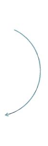 100x300 png elements/19